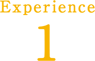 Experience1