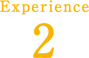 Experience2