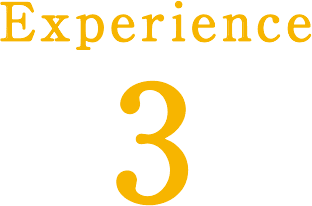 Experience3