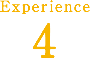 Experience4