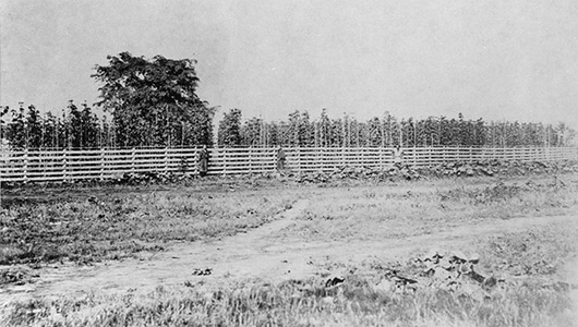 The Sapporo Hops Plantation, built in 1877