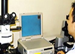 酵母を電子顕微鏡で観察する研究者