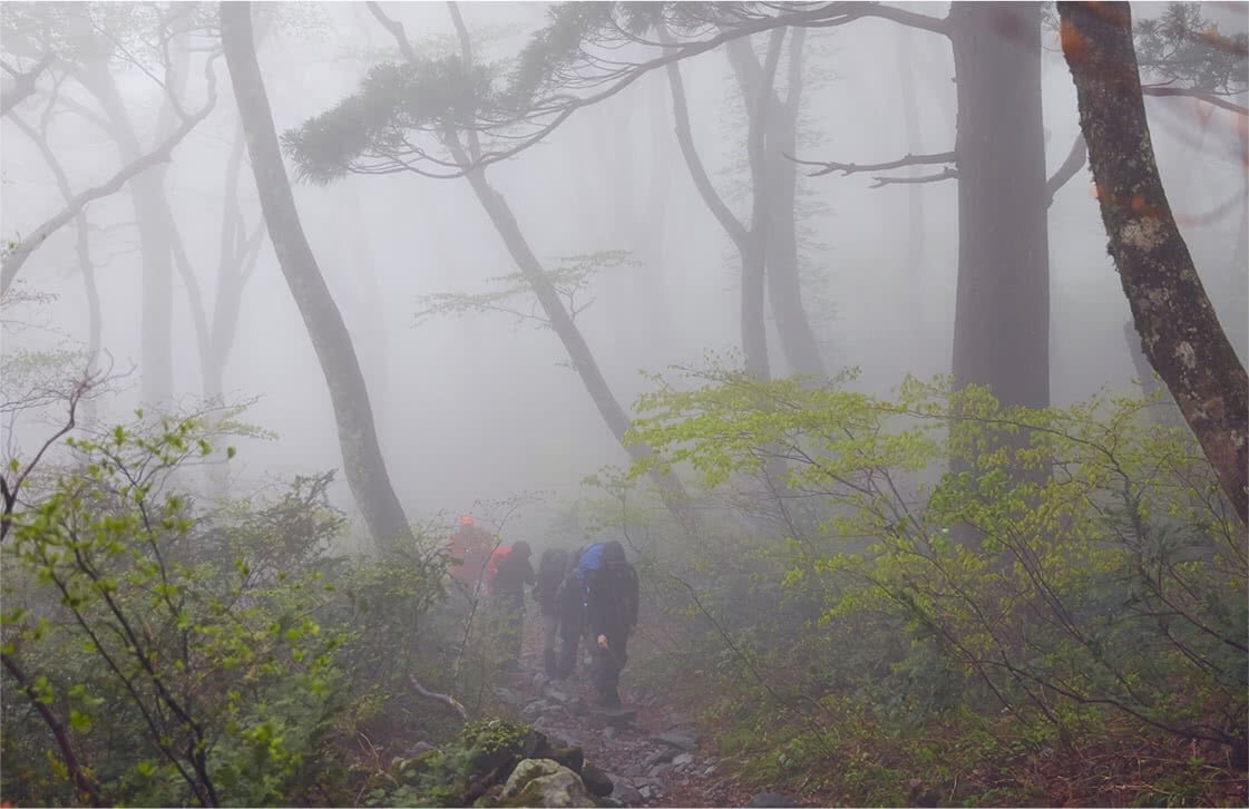 大山のご本体に到達するもしばらく登ると霧の中。これが神秘の霊峰か……