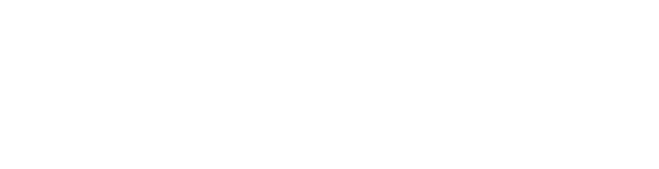 ザ・パーフェクト ビヤセラー