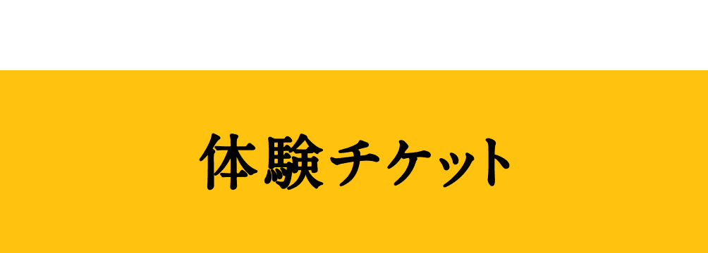 体験チケット