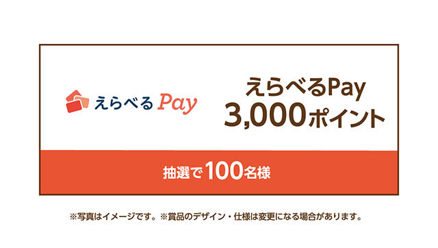 えらべるPay3,000ポイント