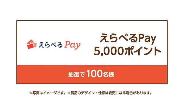 えらべるPay5,000ポイント