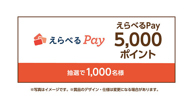 えらべるPay5,000ポイント