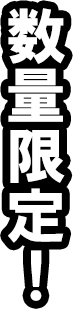 数量限定！