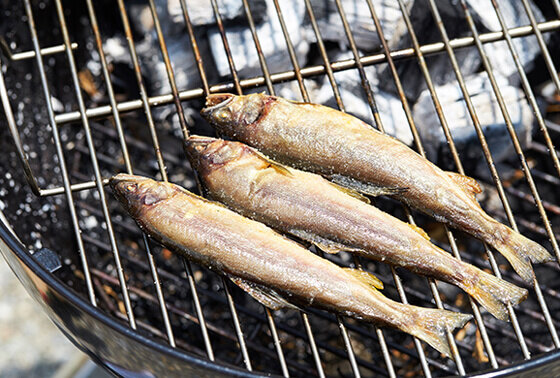 日本一の清流で育った天然鮎を素材の味そのままに塩焼きで！