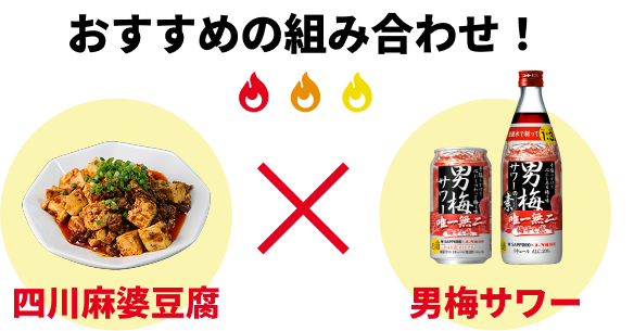 おすすめの組み合わせ 四川麻婆豆腐 x 男梅サワー