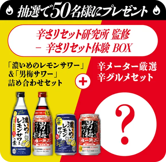 抽選で50名様にプレゼント 辛さリセット研究所 監修 - 辛さリセット体験 BOX 「濃いめのレモンサワー」＆「男梅サワー」詰め合わせセット　辛メーター厳選辛グルメセット