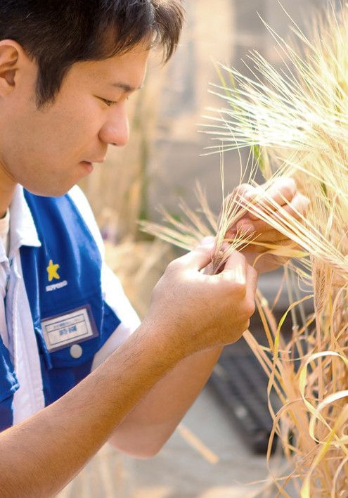 おいしさを磨き続ける