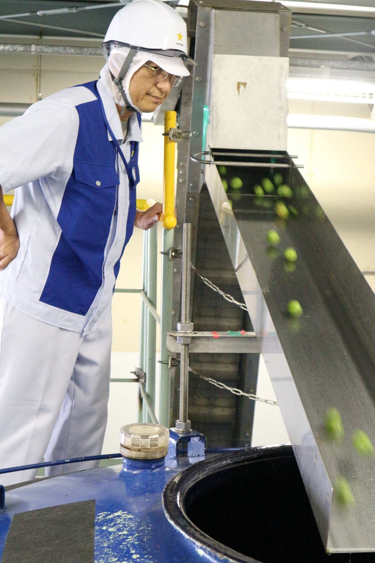 群馬県産白加賀を使用した梅酒」の仕込み開始 | ニュースリリース