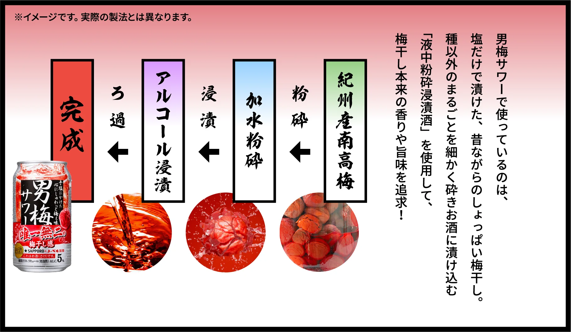 男梅サワーで使っているのは、塩だけで漬けた、昔ながらのしょっぱい梅干し。種以外のまるごとを細かく砕きお酒に漬け込む「液中粉砕浸漬酒」を使用して、梅干し本来の香りや旨味を追求！ / 紀州産南高梅→粉砕→加水粉砕→浸漬→アルコール浸漬→ろ過→完成！ ※イメージです。実際の製法とは異なります。