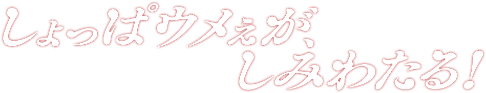 しょっぱウメぇがしみわたる！