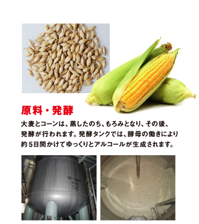 原料・発酵 大麦とコーンは、蒸したのち、もろみとなり、その後、発酵が行われます。発酵タンクでは、酵母の働きにより約5日間かけてゆっくりとアルコールが生成されます。