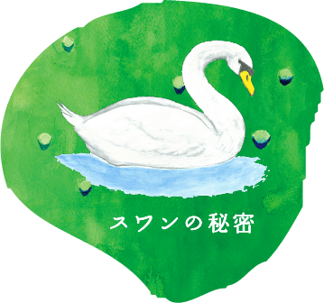 スワンの秘密