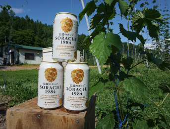 ブランドアクション | SORACHI1984｜サッポロビール