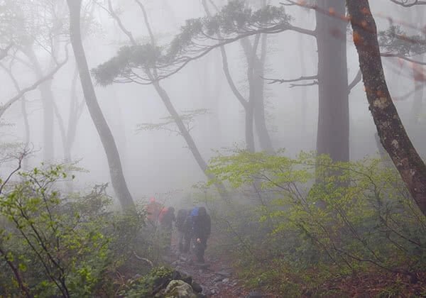 大山のご本体に到達するもしばらく登ると霧の中。これが神秘の霊峰か……