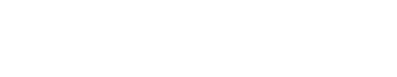 究極のフライドポテトプロジェクトとは？