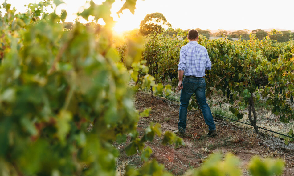 WORKING WITH GROWERS ACCROSS THE REGION