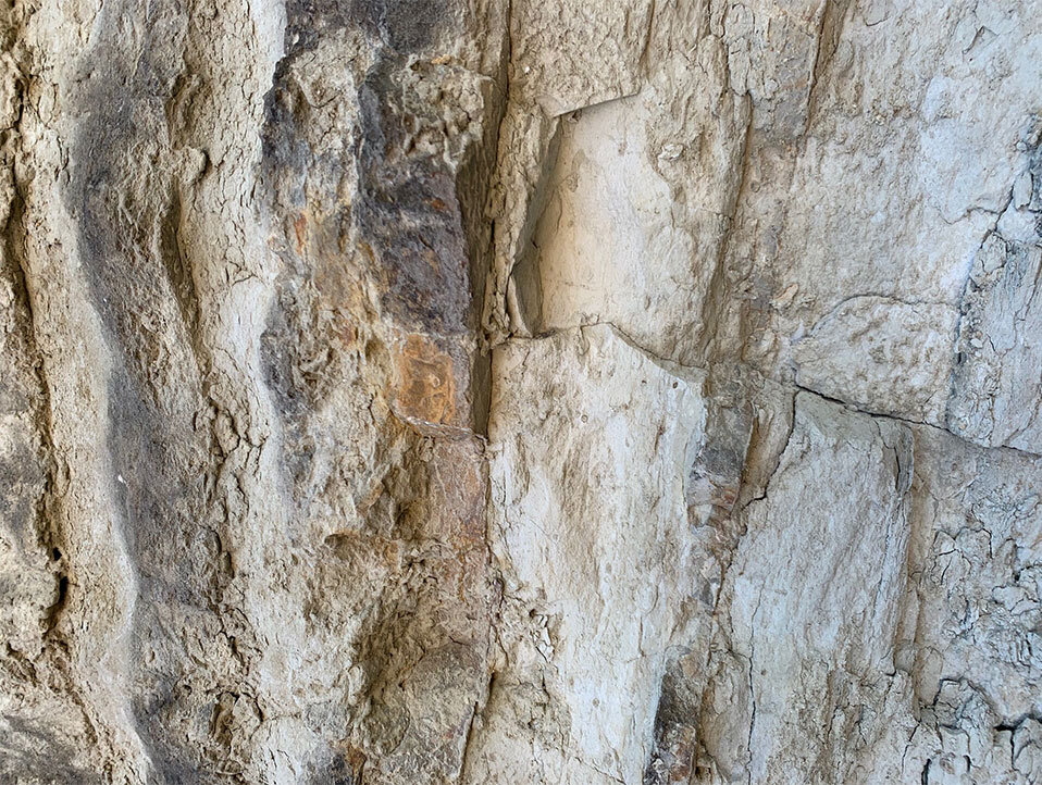 プレミアムワインを生み出す土壌