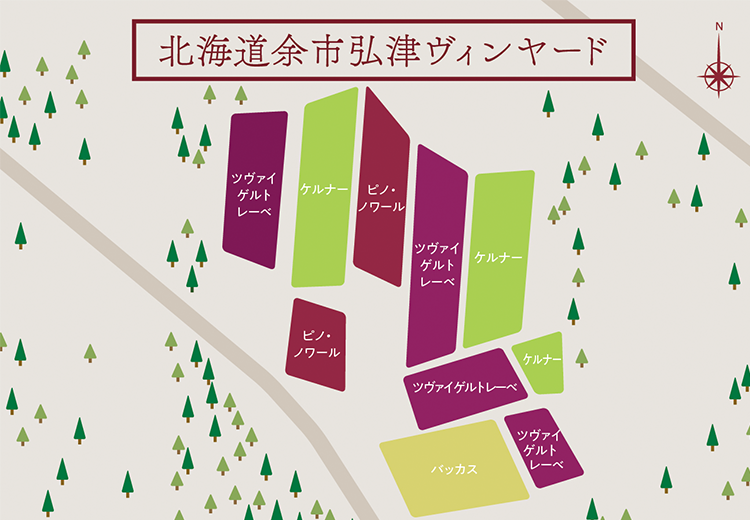 北海道余市弘津ヴィンヤード