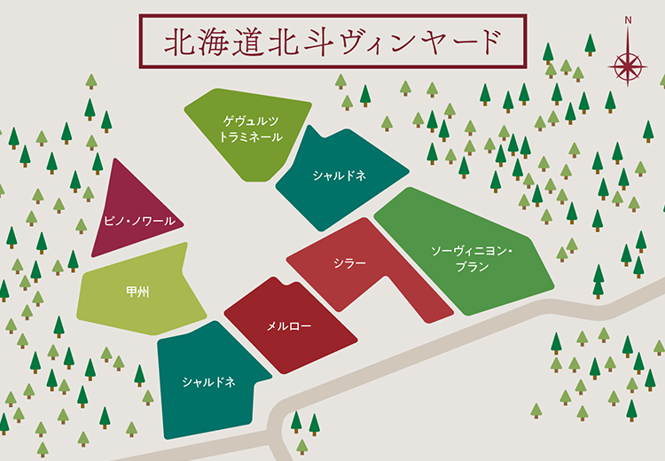 北海道北斗ヴィンヤード