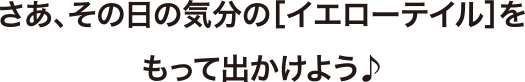 さあ、その日の気分の［イエローテイル］をもって出かけよう♪
