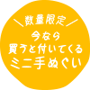 数量限定　今なら買うと付いてくるミニ手ぬぐい