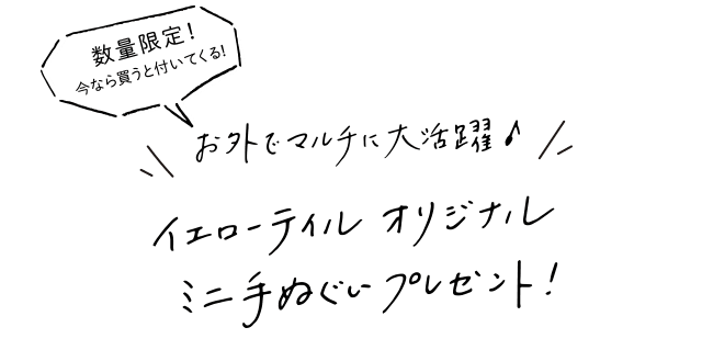 数量限定！今なら買うとついてくる！お外でマルチに大活躍♪イエローテイル オリジナルミニ手ぬぐいプレゼント！