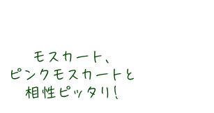 ピュア・ブライトと相性バツグン！