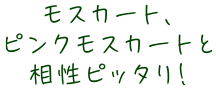 モスカート、ピンクモスカートと相性ピッタリ！