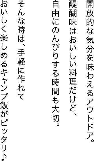 開放的な気分を味わえるアウトドア。醍醐味はおいしい料理だけど、自由にのんびりする時間も大切。そんな時は、手軽に作れておいしく楽しめるキャンプ飯がピッタリ♪
