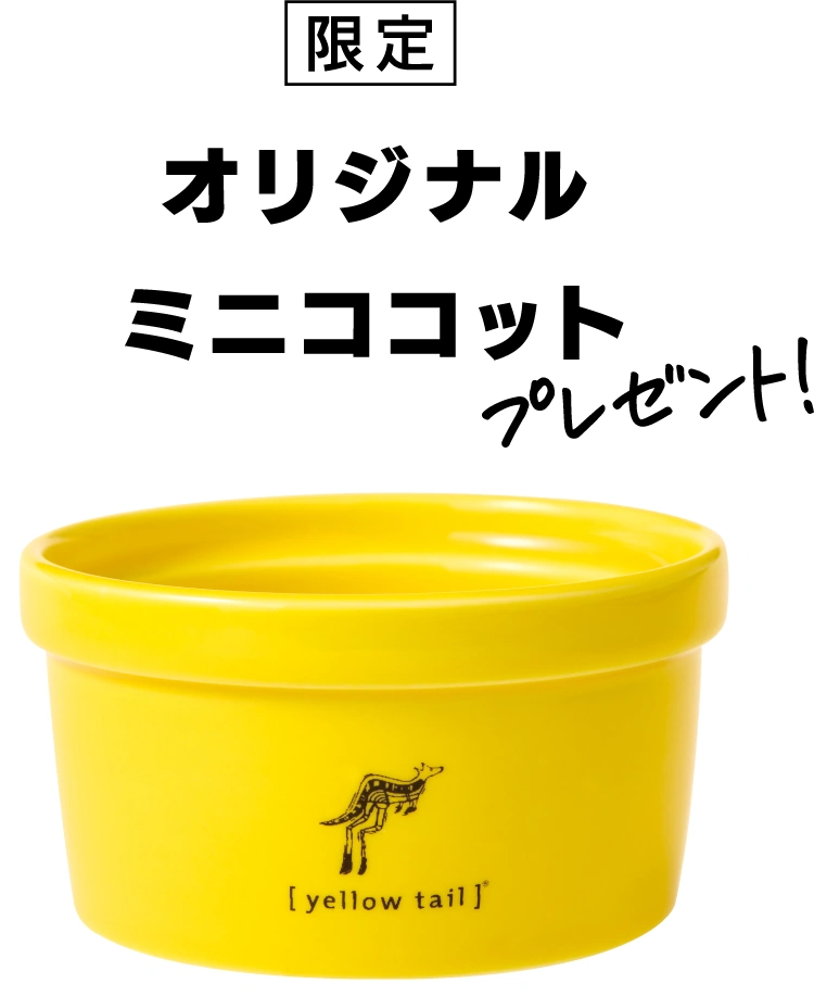 ＜限定＞オリジナルミニココット プレゼント！