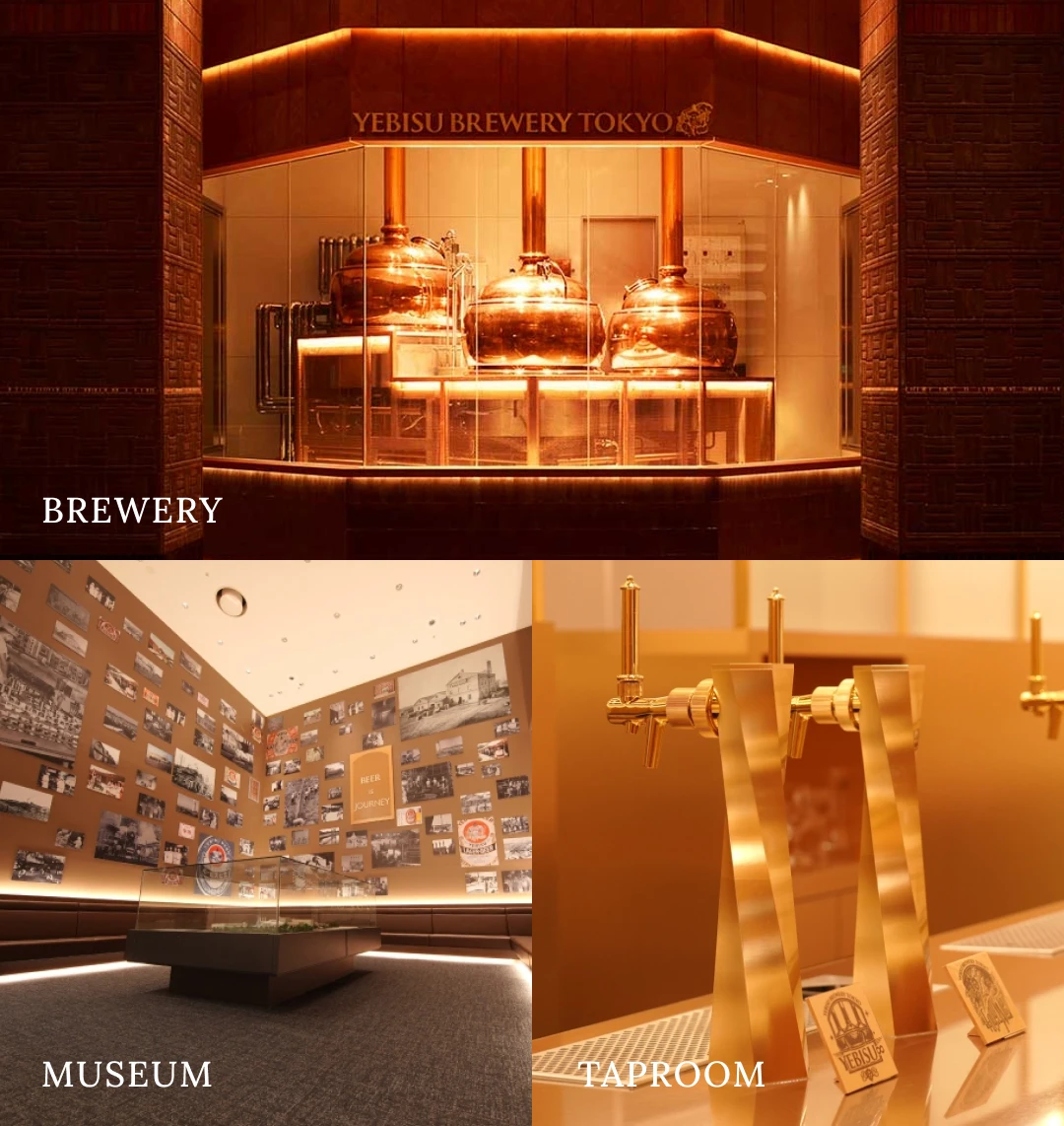 体験拠点イメージ: BREWERY, MUSEUM, TAPROOM
