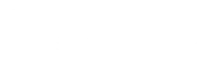 ヱビス プレミアムエール
