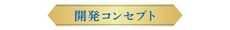 開発コンセプト